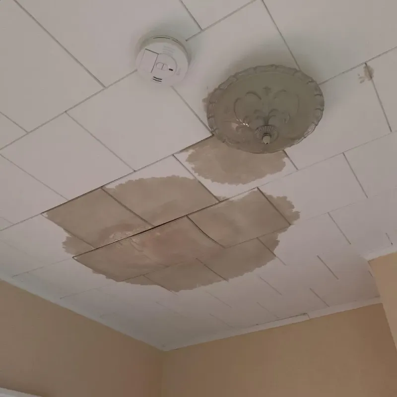 Ceiling Water Damage Repair in Mineral Springs, NC