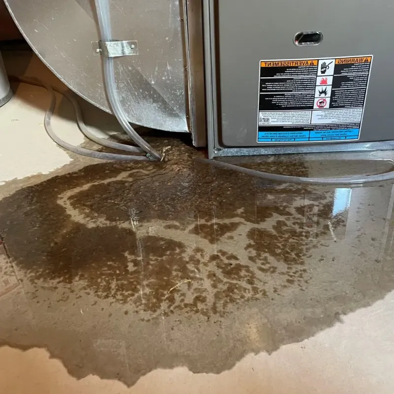 Pipe Burst and Leak Restoration in Mineral Springs, NC